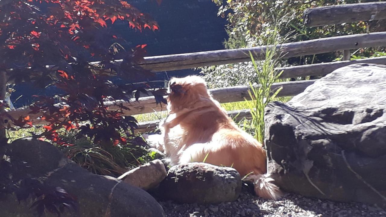 Chalet Gotthelf Gartenstudio, Ferien Mit Hund Адельбоден Екстер'єр фото