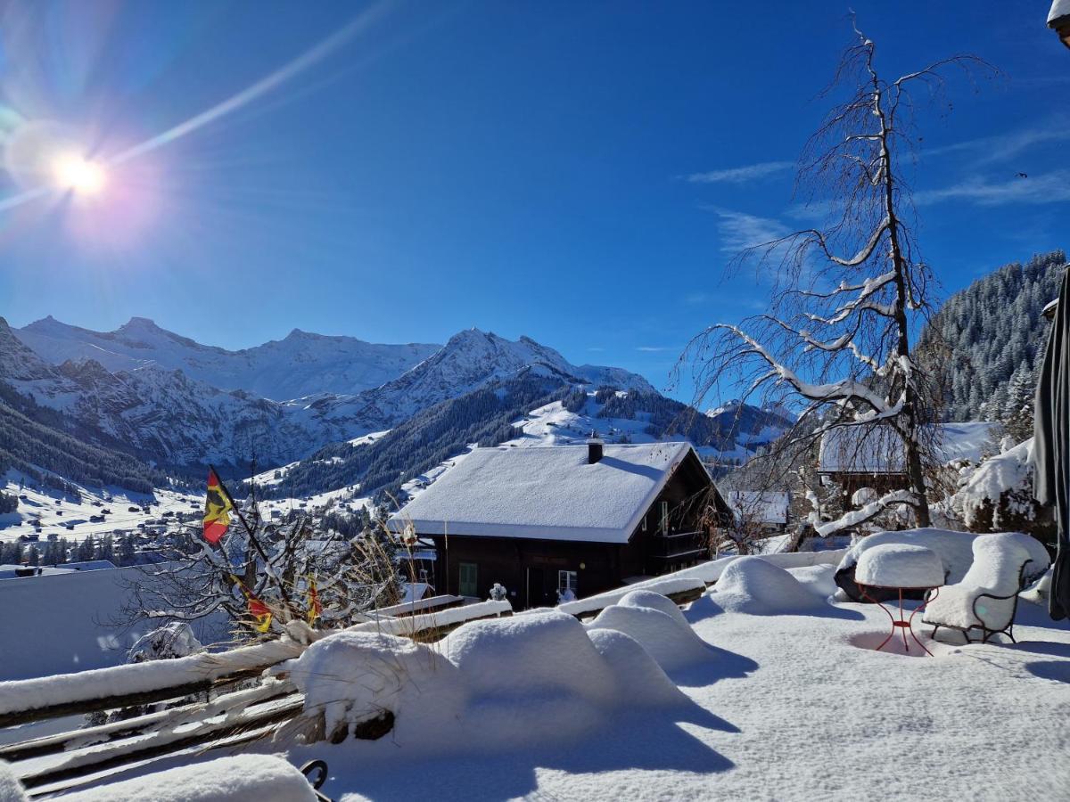 Chalet Gotthelf Gartenstudio, Ferien Mit Hund Адельбоден Екстер'єр фото